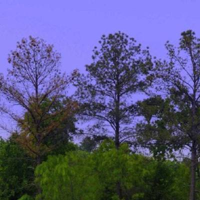 安博体育·(中国)官方网站app下载