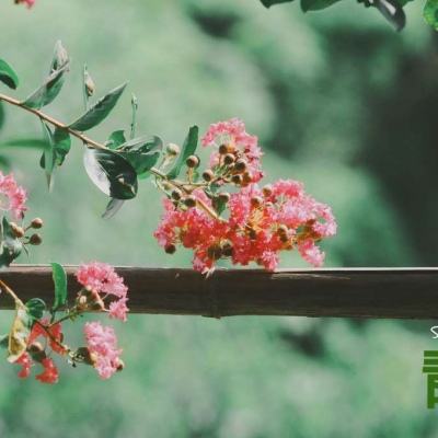 半岛登录入口-登录入口